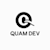 Developer
