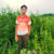 Rx Rifad