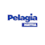 Pelagia
