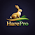 Hare F