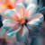 Sna B