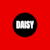 Daisy D