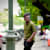SamTheCreator