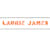 Lauren James