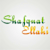 Shafquat Elahi