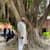 Jibran S