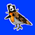Robby Bird