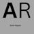 Amir R