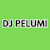 Dj Pelumi