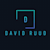 DAVID RUUD