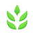 Limetune