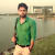 Vidyut