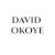 OKOYE DAVID