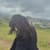 Ishita