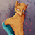 beans_draws