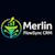 merlin