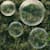 Jayden