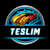 TESLIM