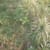 Rayhan Photo