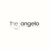 Desmond Angelo