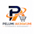 Pelumi akinwumi