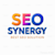 Seo Synergy