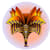 Exodaweb
