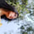 Aakansha