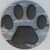 Steve Paws