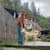 Anish 