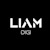 Liam Digi