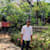 Sai Aman