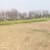 Satyam T