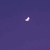 Divina Luna