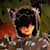Avatar P