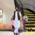 Amrit Sandhu 