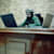 Sheikh Usman
