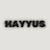 Hayyus