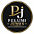 Pelumi Juwon