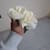 Amreen C