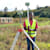Surveyordennis