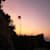 Purva B