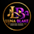 Luna Blake