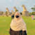 Samavia Parveen