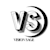 Vision S