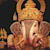 Riddhi P Dharia