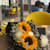Timmey malhotra