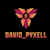 David Pyxel