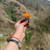 Aarohi
