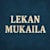 Lekan M